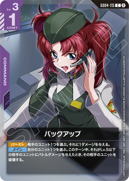 支援